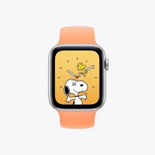 Apple Watch SE 产品图