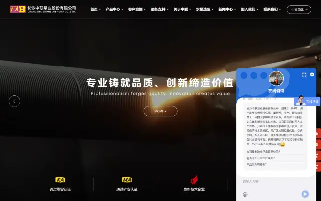长沙中联泵业股份有限公司 首页截图