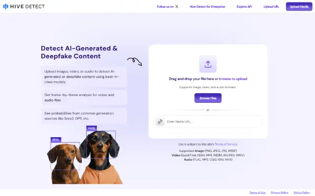 Detect AI 首页截图