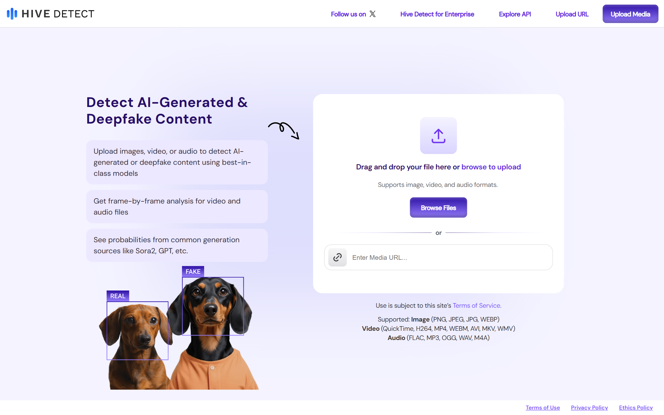 Detect AI 首页截图