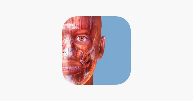 肌肉与运动机能学 (Muscle Premium) 产品图