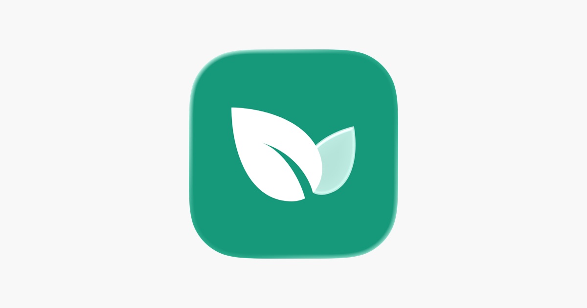 青藤之恋 iOS App 主视觉