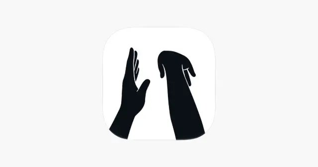 有篮 App 产品图